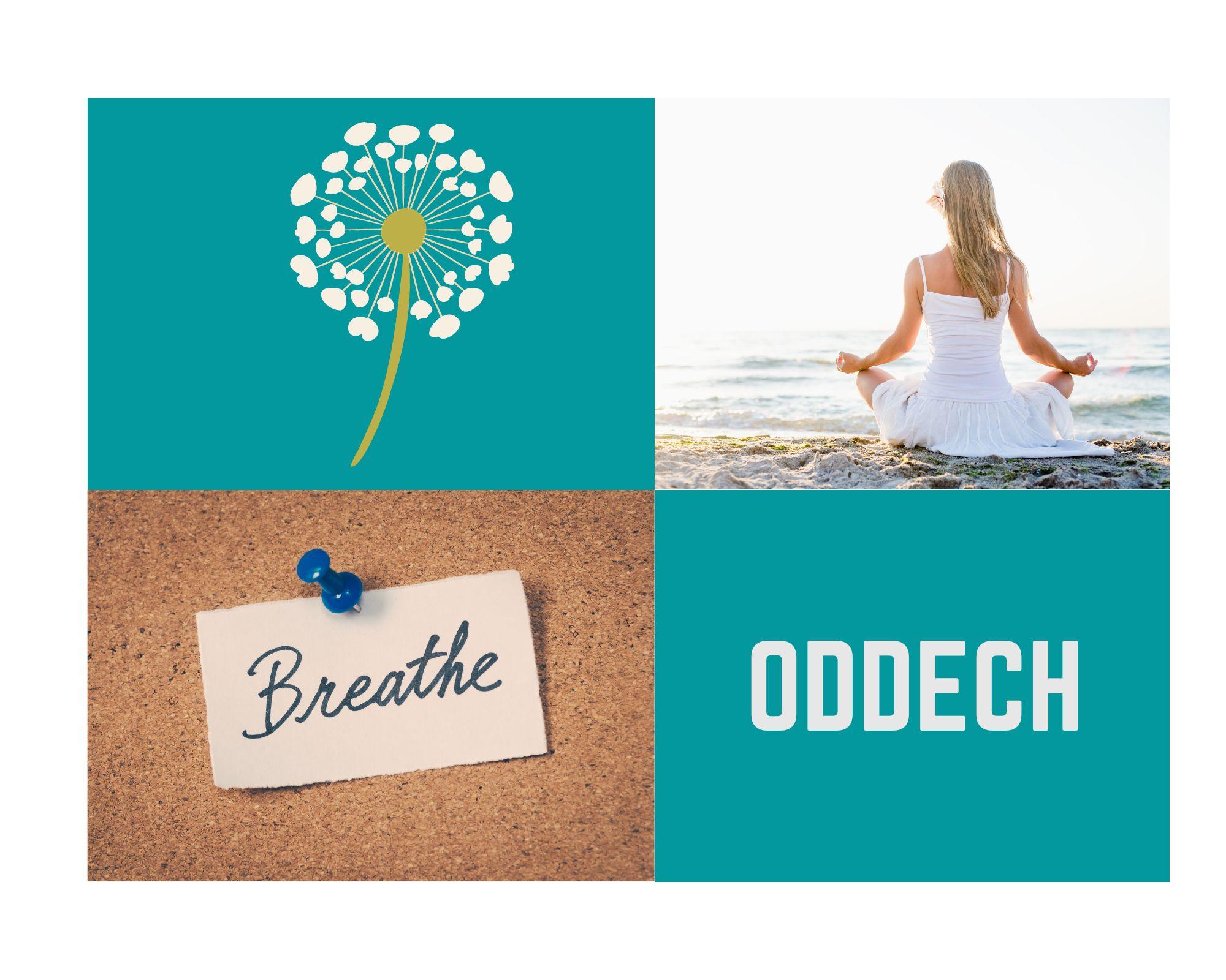 Blog oddech